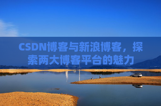CSDN博客与新浪博客，探索两大博客平台的魅力